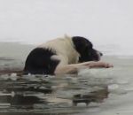 chien Un homme sauve un chien tombé dans un étang gelé