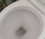 toilettes cuvette Surprise en tirant la chasse d'eau