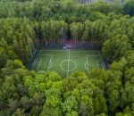 foret arbre Terrain de foot au milieu de la forêt