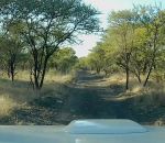 voiture dashcam arnaque Arnaque à l'assurance en Afrique du Sud