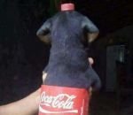 bouteille coca-cola Chien bouteille de Coca-Cola