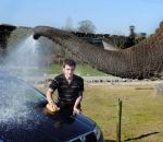 lavage eau Lavez votre voiture avec l'Éléphant