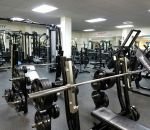 musculation salle gym Le calme avant la tempête