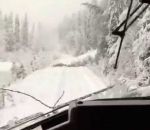 arbre tempete neige Un train roule après une tempête de neige