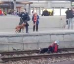 chien femme Un chien policier fait tomber une femme sur une voie ferrée