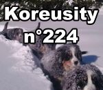 koreusity compilation fevrier Koreusity n°224