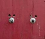 trou Un portail adapté pour les chiens
