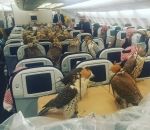 avion oiseau faucon Un prince saoudien a acheté 80 billets d'avion pour ses faucons