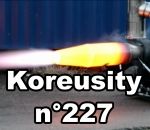 insolite Koreusity n°227
