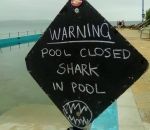 mer requin pancarte Piscine fermée pour cause de requin