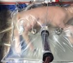 uterus artificiel Un utérus artificiel permet à un agneau prématuré de finir son développement