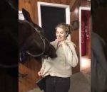 cheval fille ouvrir Un cheval s'amuse avec une fermeture éclair
