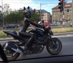 femme chat moto Cat Biker