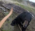 ours chasseur Un chasseur à l'arc chargé par un ours (Ontario)