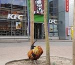 poulet Manifestation devant un KFC