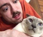 langue lecher chat Ricky toilette son chat (WTF)