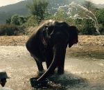elephant refuge L'eau au-dessus de l'éléphant a une forme d'éléphant