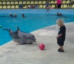 ballon enfant Un enfant joue au ballon avec un dauphin