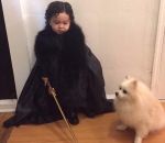 mini chien Mini Jon Snow et son loup Ghost
