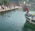 poisson pecheur Un pêcheur harponne un marlin dans le port de Saint-Mandrier (Var)