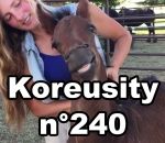 koreusity insolite 2017 Koreusity n°240