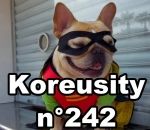 compilation 2017 Koreusity n°242