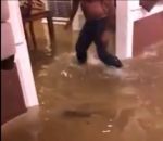 peche main nu Un Américain pêche dans sa maison inondée (Ouragan Harvey)