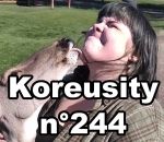 koreusity compilation aout Koreusity n°244