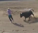 arene corrida Un militant fauché à deux reprises par un taureau (Carcassonne)