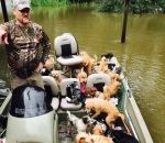 chien sauvetage A l'aide de son bateau, il sauve les chiens des inondations (Ouragan Harvey)