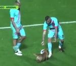 football terrain ballon Un petit chien interrompt un match de foot