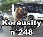 fail zapping insolite Koreusity n°248