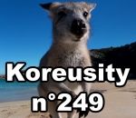 koreusity compilation septembre Koreusity n°249