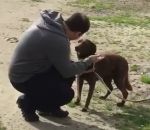 joie retrouvailles separation Une chienne retrouve son maitre après plus de 2 ans de séparation (Argentine)