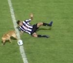 football ballon joueur Un chien expulsé pour un tacle par derrière (Argentine)