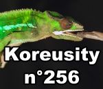 koreusity compilation novembre Koreusity n°256