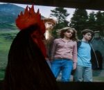 potter regarder Un coq regarde Harry Potter
