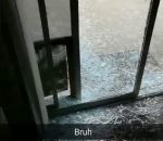 porte fail Un chien défonce une porte vitrée