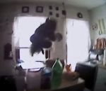 saut Un écureuil attaque un policier