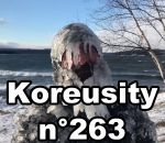 koreusity compilation janvier Koreusity n°263