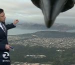 meteo bulletin Présentateur météo photobombé par un corbeau