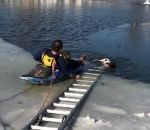 sauvetage chien noyade Sauvetage d'un chien dans un étang gelé
