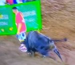 taureau homme televison 2ème effet Kiss Cool pendant une corrida