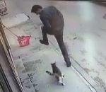 surprise Un chat fait tomber un homme