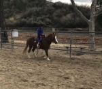 fille chute Sensations fortes pour un enfant sur un poney