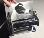 photo chien pate Quadrupler une photo d'un chien avec une machine à pâtes
