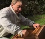 gueule Coup de gueule d'un apiculteur (Finistère)