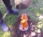 fail technique Cuire un poulet sous un baril