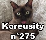 koreusity 2018 Koreusity n°275