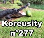 koreusity compilation avril Koreusity n°277